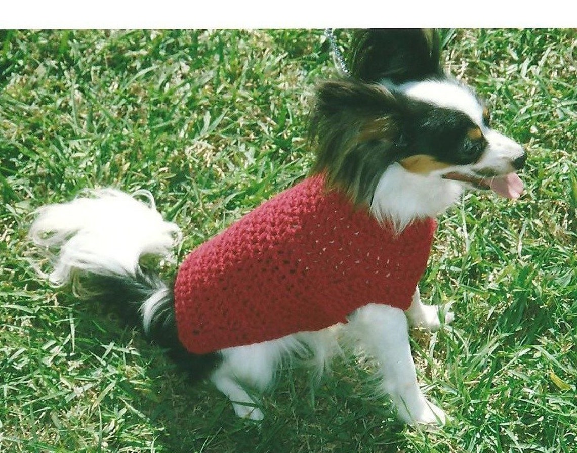 Pet Sweater Red Dog Sweater Extra Small Dog Sweater Small Etsy