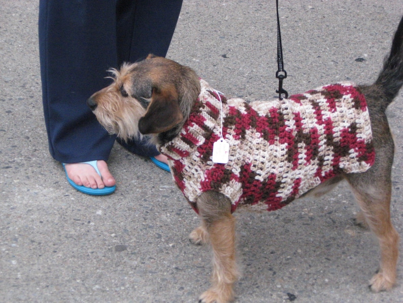 Dog sweater in camoflage, med dog sweater, large dog sweater, camo dog sweater, crochet dog sweater. image 4