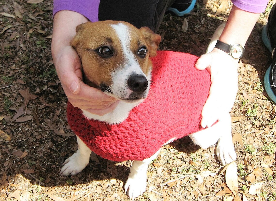 Dog Sweater Xs Dog Sweater Sm Dog Sweater Dog Sweater in Etsy
