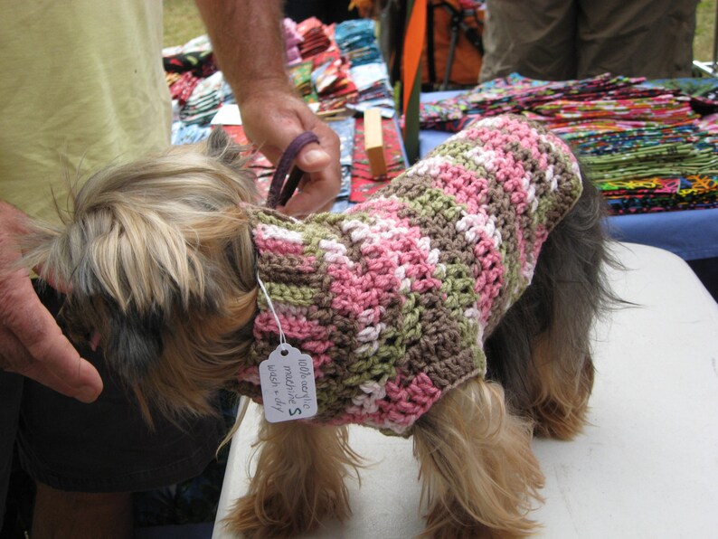 Fall colors dog sweater, xs dog sweater, small dog sweater, crochet dog sweater image 5