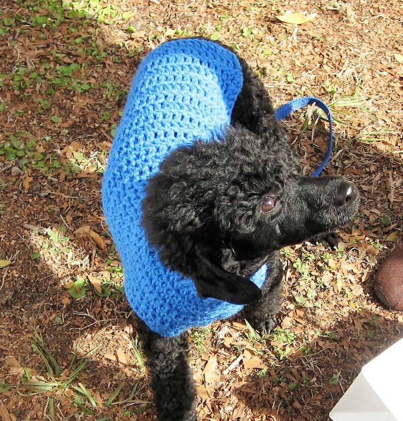 Fall colors dog sweater, xs dog sweater, small dog sweater, crochet dog sweater image 4