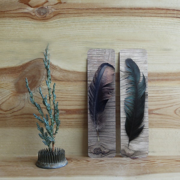 Last Minute  Holiday Stocking Stuffer Feather Bookmark Art Photography FOUR  Feather Bookmarks