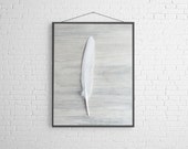 Black and White Photography Minimal Modern White Feather on Gray