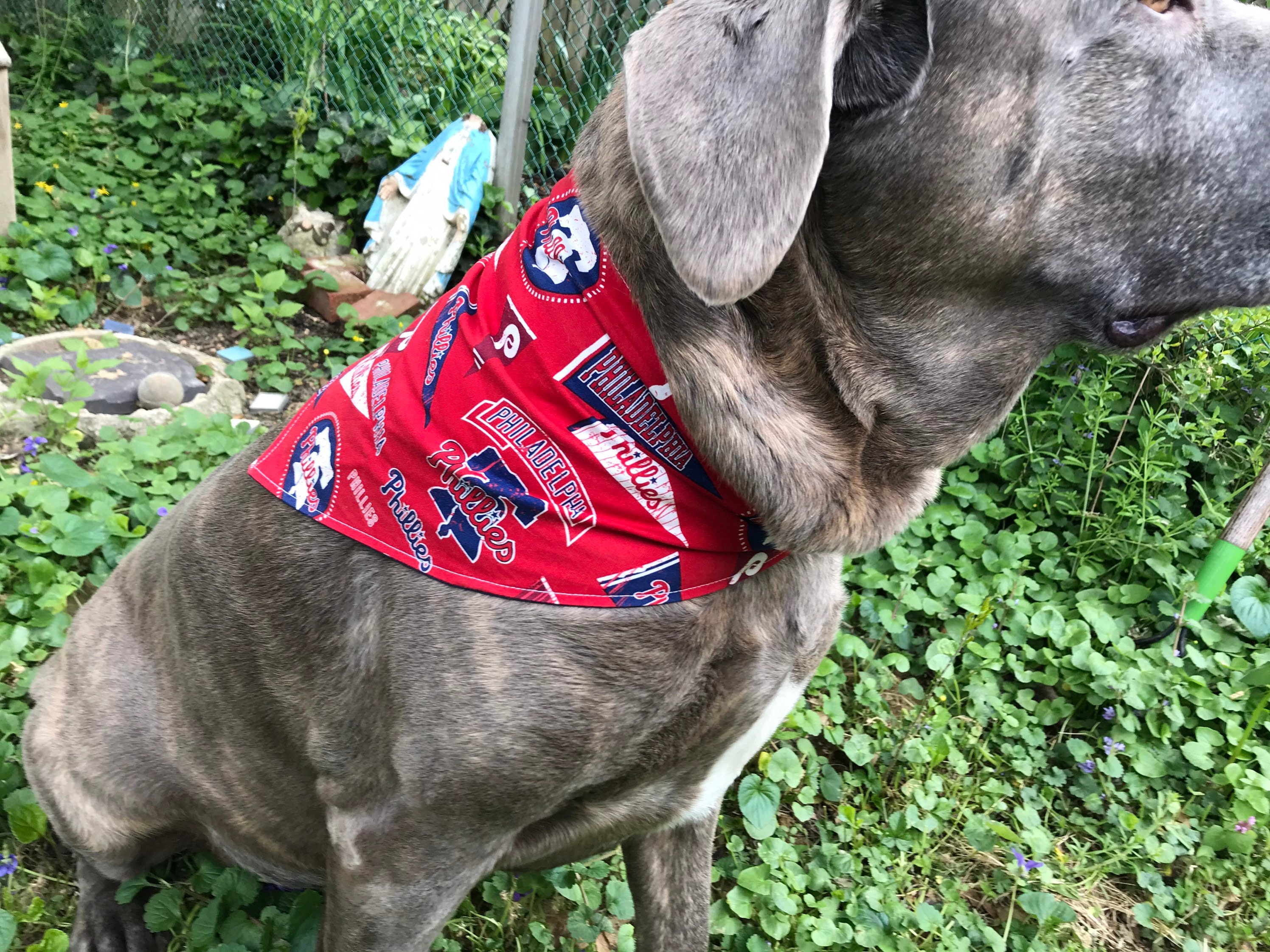 Philadelphia Phillies Dog Bandana 4 Fabrics to Choose From 