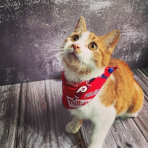 Philadelphia Phillies Cat / Kitten Bandana, 4 Fabrics to choose from!! Handmade, Reversible, 100% Cotton, Snap Closure, Adjustable