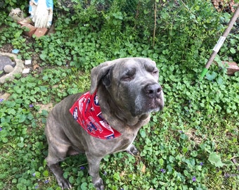 Philadelphia Phillies Dog Bandana, 4 stoffen om uit te kiezen!! Handgemaakt, omkeerbaar, 100% katoen, snap sluiting, verstelbaar