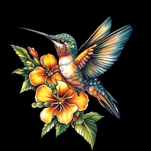 pacote de design colibri oldschool, pacote de design de tatuagem colibri, pacote de design de tatuagem tradicional, design de camiseta
