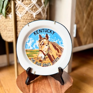 Vintage Kentucky Souvenir Plate