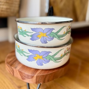 Vintage Matching Enamel Bowls with Floral Design – Nesting Set of 2