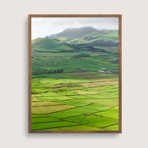 May include: A panoramic view of a lush green valley with rolling hills and fields divided by stone walls. The landscape is bathed in soft sunlight, creating a peaceful and serene atmosphere.