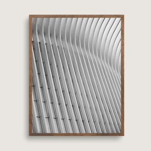 May include: Black and white photograph of a modern building with a geometric pattern of curved lines and panels.