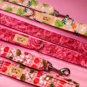 Vibrant Girly Fabric Dog Leash: 1&quot; Wide, Swivel Clip, Handmade
