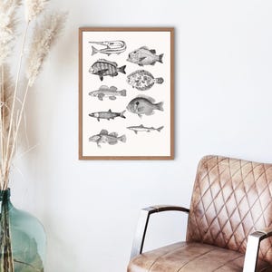 Vintage Fish Illustration Print, Antique Marine Life Wall Art,Black and White Fish Poster, Nautical Decor - Ocean Wildlife Digital Download
