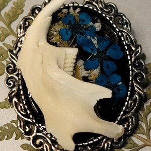 Real Muskrat Jaw Bone & Blue Flower Brooch Oddity Jewelry