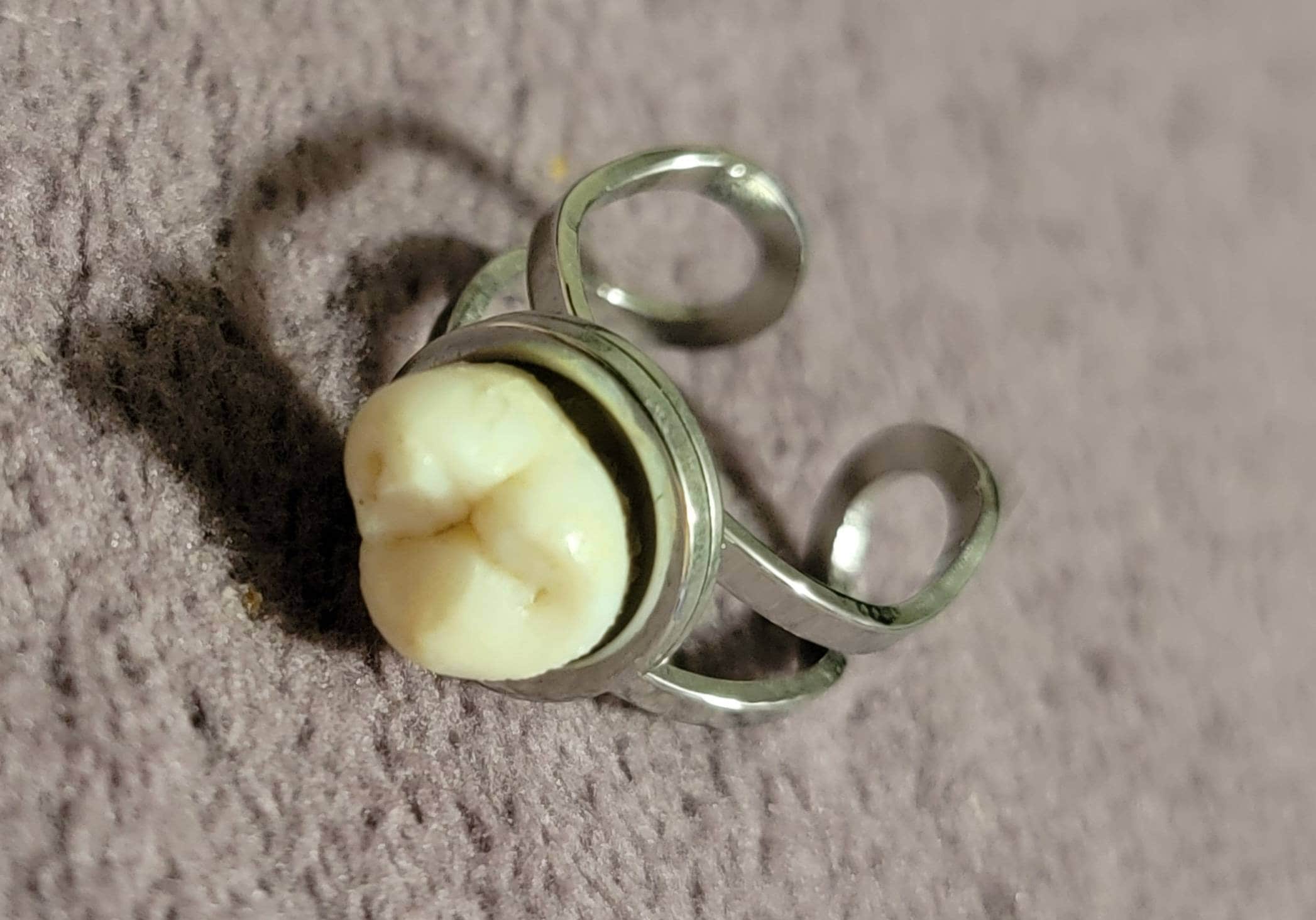 Tooth Ring Etsy