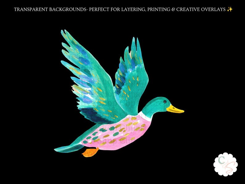 Op de afbeelding: Een aquarelillustratie van een vliegende eend met blauwgroene vleugels met gouden accenten, een roze borst met gouden stippen en een gele snavel. De tekst bovenaan luidt: TRANSPARENT BACKGROUNDS- PERFECT FOR LAYERING, PRINTING & CREATIVE OVERLAYS.