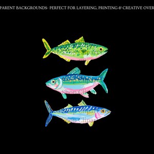 May include: Three colorful fish illustrations on a black background. The fish are painted in shades of green, blue, and yellow, with pink accents. The text at the top says "TRANSPARENT BACKGROUNDS - PERFECT FOR LAYERING, PRINTING & CREATIVE OVERLAYS."