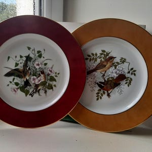 Pair of decorative Limoges porcelain plates with bird decoration