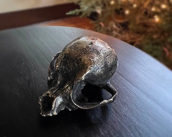 Bronze Chihuahua Skull