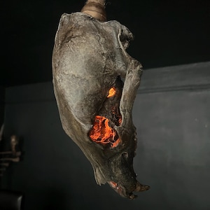 May include: A unique, handcrafted lamp shaped like a skull, suspended from a rope. The skull is a weathered gray color with glowing orange light emanating from within. The lamp is a distinctive piece of home decor.