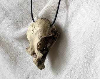 Resin cast Hawk Skull Pendant