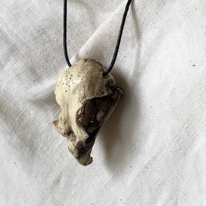 Resin cast Hawk Skull Pendant