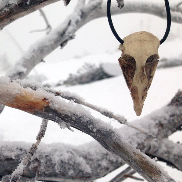 Resin cast Quail Skull Pendant