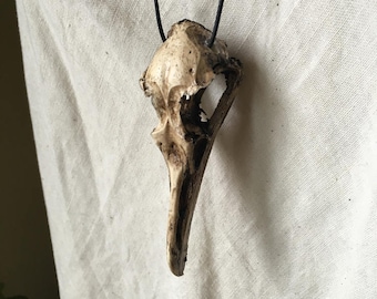 May include: A handcrafted pendant necklace featuring a bird skull. The skull is a natural off-white color with dark brown accents and a hollowed-out eye socket. The pendant hangs from a thin, black cord.