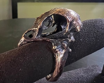 Anillo de calavera de pájaro de bronce, talla 7