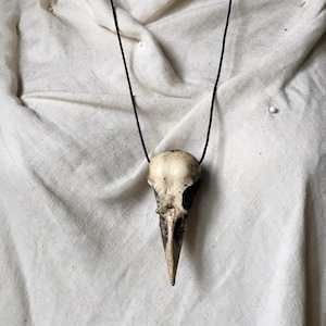 Crow Skull Pendant image 3