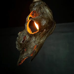 Puede incluir: Una lámpara colgante artesanal con forma de cráneo de ave. La lámpara es de color marrón oscuro con luz naranja que emana de las cuencas de los ojos y el pico. La lámpara está suspendida por una cuerda retorcida.