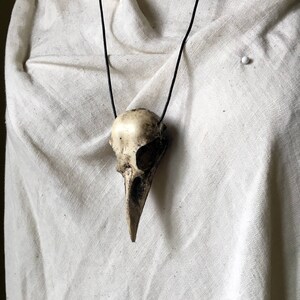Crow Skull Pendant image 2