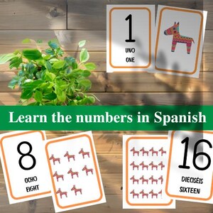 Spanish Flashcards, Bilingual Printable Cards for Kids, Spanish Vocabulary, Learning Tools for Homeschooling