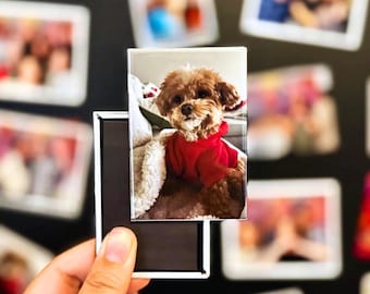 May include: A small, brown and white dog wearing a red sweater is sitting on a white fuzzy blanket. The dog is looking directly at the camera.