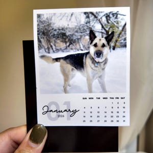 May include: A January 2026 calendar featuring a dog standing in the snow. The dog has black and tan fur and is wearing a blue collar. The calendar has a white background with the month and year displayed in a handwritten font.