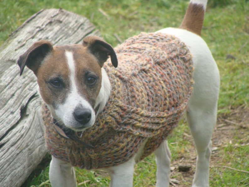 Crochet Pattern for Small Dog Coat Small Dog Size Etsy