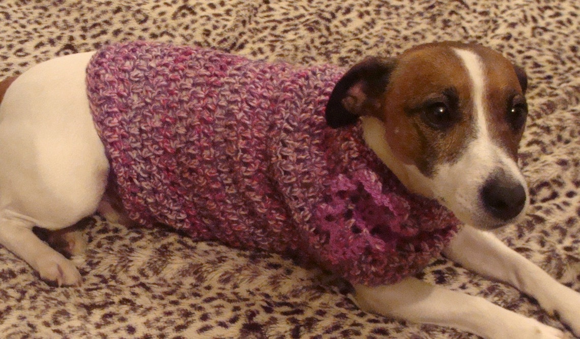 Crochet Pattern for Small Dog Coat Small Dog Size Etsy