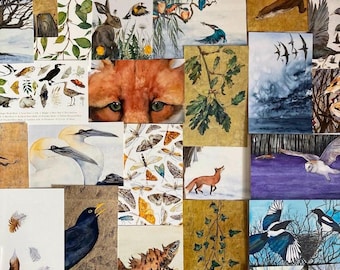 Postales 'Wild Cards': Vida silvestre, impresiones artísticas de animales - ¡LUCKY DIP!