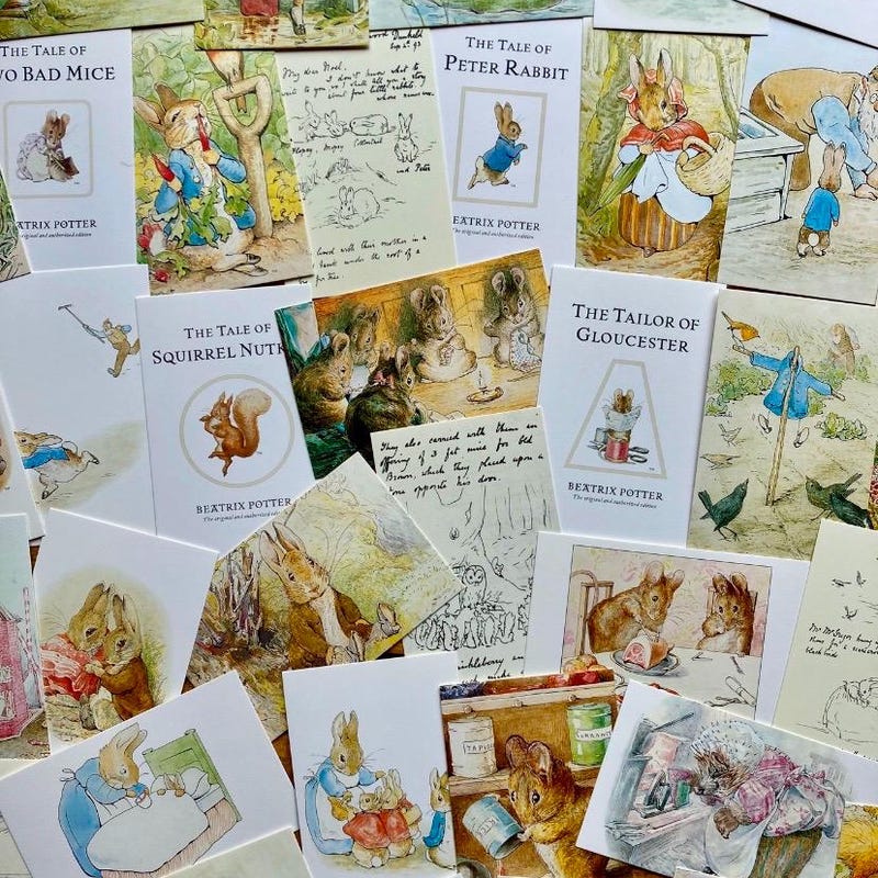 Rabbit Postcard - Etsy