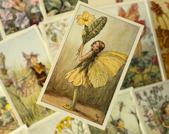 Flower Fairies Pop-up Theatre Book by Cicely Mary Barker