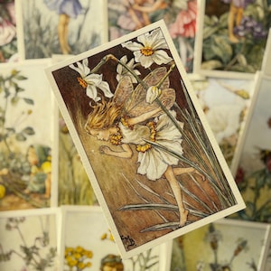 May include: Vintage illustration of a fairy in a white dress with yellow accents, amidst white flowers and green foliage. The artwork is set against a brown background, with other similar illustrations visible in the background. The style is reminiscent of classic fairy tales.