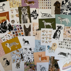 Hunde-Liebhaber-Postkarte Lucky Dip! Verschiedene illustrierte Hundepostkarten | Wähle 5 oder 10| Verschiedene Rassen | Kunstdrucke| Kleine Geschenke| Möpse| Terrier