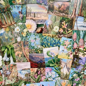 Carte postale botanique de Marianne North Immersion chanceuse ! | Cartes postales assorties de style vintage | Choisissez 5 ou 10| Jardins de Kew| Impressions d'art| Mur de la galerie|Plantes