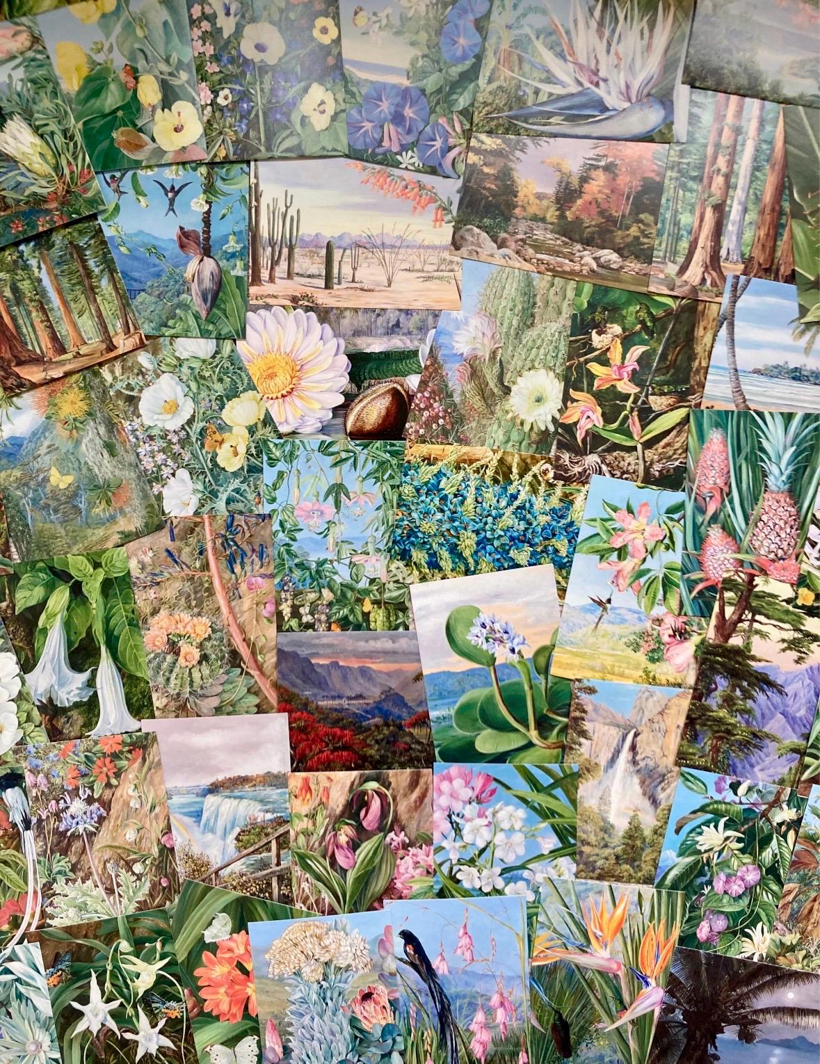 Marianne North Botanical Postcards: Kew Gardens Vintage Style Art