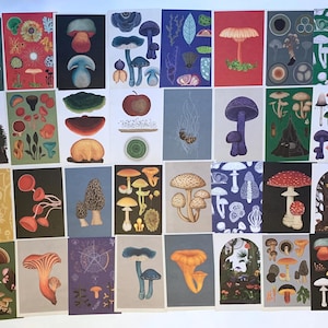 Fungarium Postkarte Lucky Dip! Willkommen im Museum Sammlerpilz / Funghi Postkarten | Wähle 5 oder 10| Kunsthandwerk| Geschenke| Pilz| Natur