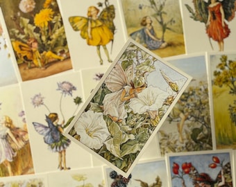 Flower Fairy Pop-up Theater：シシリーメアリーバーカー Flower Fairies Pop-Up Theater Book - Cicely Mary Barker