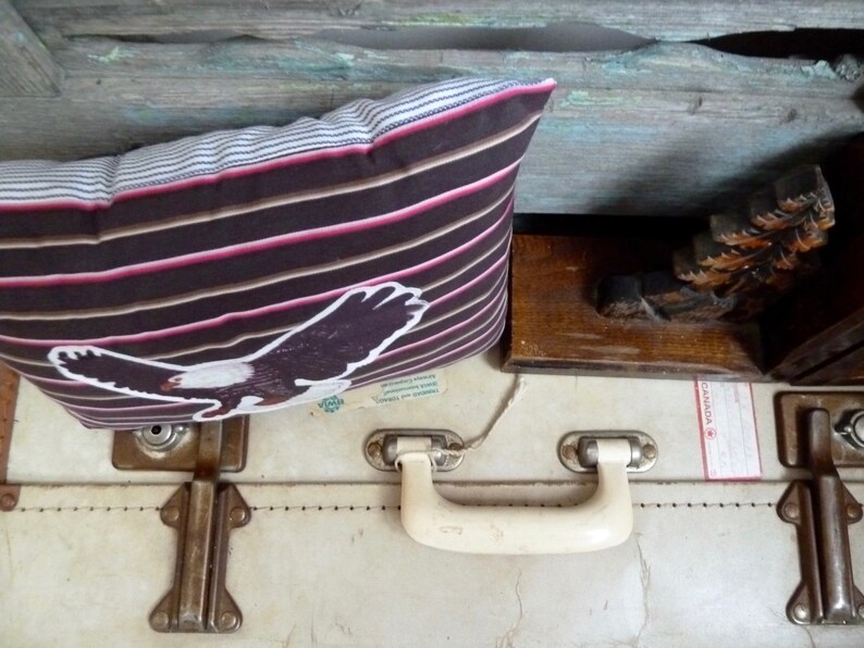 May include: A vintage suitcase with a brown and pink striped pillow with an eagle design on top. The suitcase has a white handle and two metal clasps. The suitcase has a label that says "Canada".