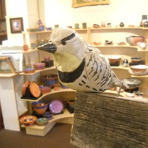 May include: A ceramic bird figurine with black and white markings, perched on a weathered wooden surface. The bird has a yellow beak and a yellow patch on its chest. The figurine is surrounded by other ceramic items, including bowls and plates.