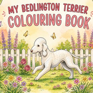 May include: A colouring book titled MY BEDLINGTON TERRIER COLOURING BOOK featuring a white Bedlington Terrier dog running in a garden with a white picket fence, colourful flowers, and yellow butterflies in a soft watercolour illustration style.