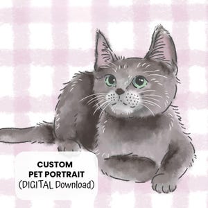 May include: A digital illustration of a gray cat with green eyes, lying down. The cat has white whiskers and is set against a pink and white checkered background. Text on the image reads "CUSTOM PET PORTRAIT (DIGITAL Download)".